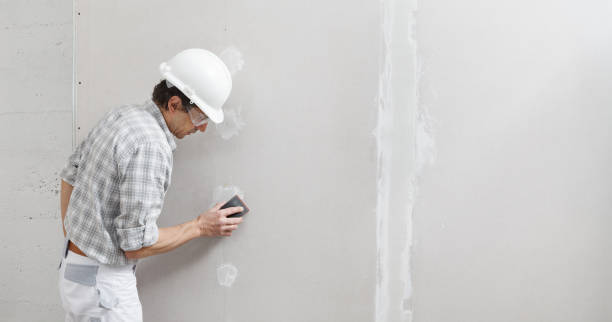 Best Drywall Removal and Disposal  in Old Miakka, FL